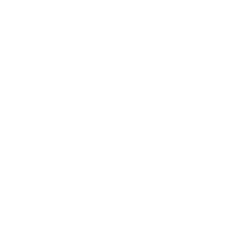 ENVision Logo